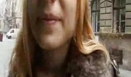 2000 المدرسة بورنو جديد عربي ؟ خيار.