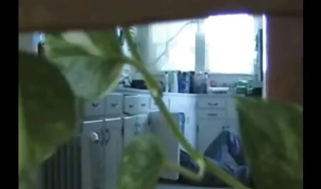 كيرا الكسيس سكس عرب نار جديد تكساس الهيمنة اليابانية