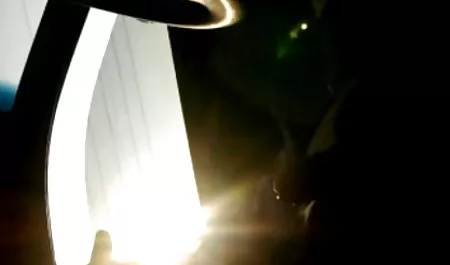 الألمانية فينوس معرض سكس تويتر عربي جديد في برلين ، تبا لك سيئة