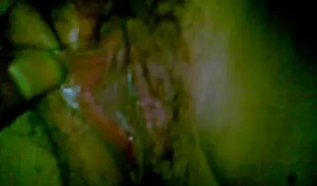 الحمار سكس لواط عربي جديد جبهة مورو الإسلامية للتحرير-هو-بي-بي-سي اللعين