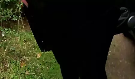 النضج سكس عربي جديد وقديم و تصاعد عرض الشرائح