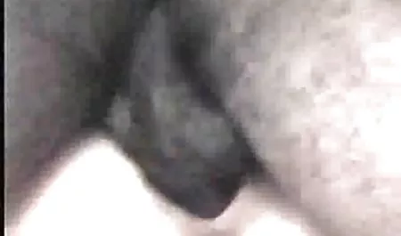 رون اليوم مقطع سكس مصري جديد